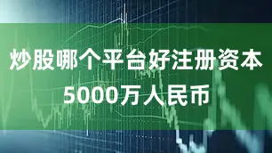 炒股哪个平台好注册资本5000万人民币