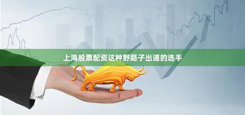 上海股票配资这种野路子出道的选手