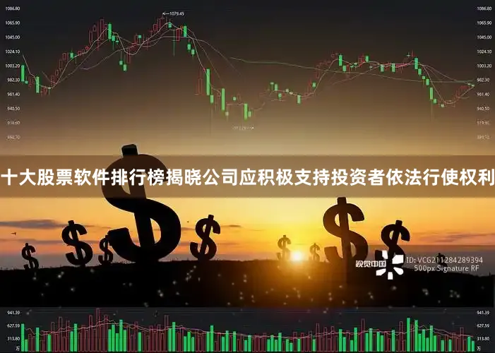 十大股票软件排行榜揭晓公司应积极支持投资者依法行使权利