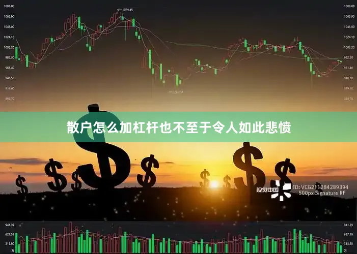 散户怎么加杠杆也不至于令人如此悲愤
