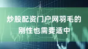 炒股配资门户网羽毛的刚性也需要适中